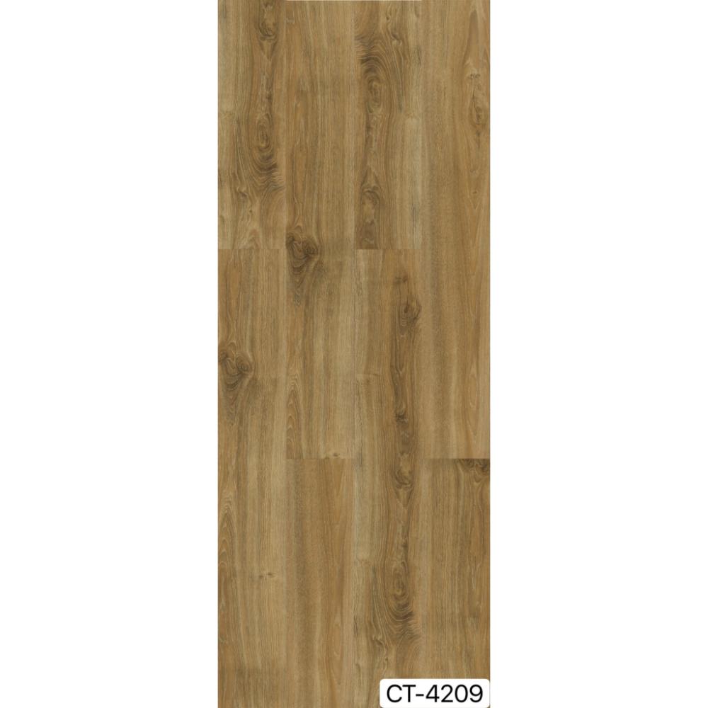 CT-4209