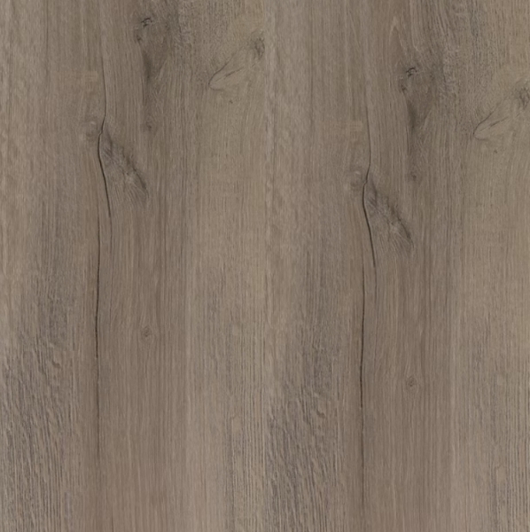 史利普｜尤里西斯橡木