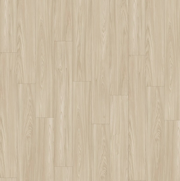 Classic 超耐磨木地板｜榭菲爾德淺色刺槐