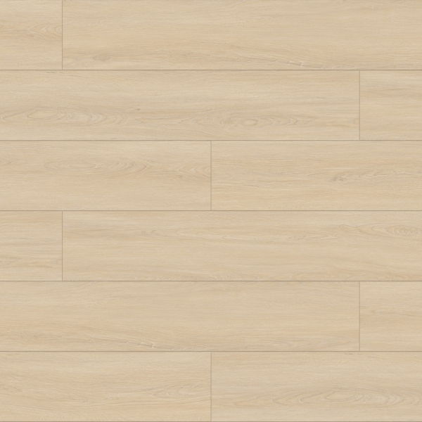 義大利系列  10m