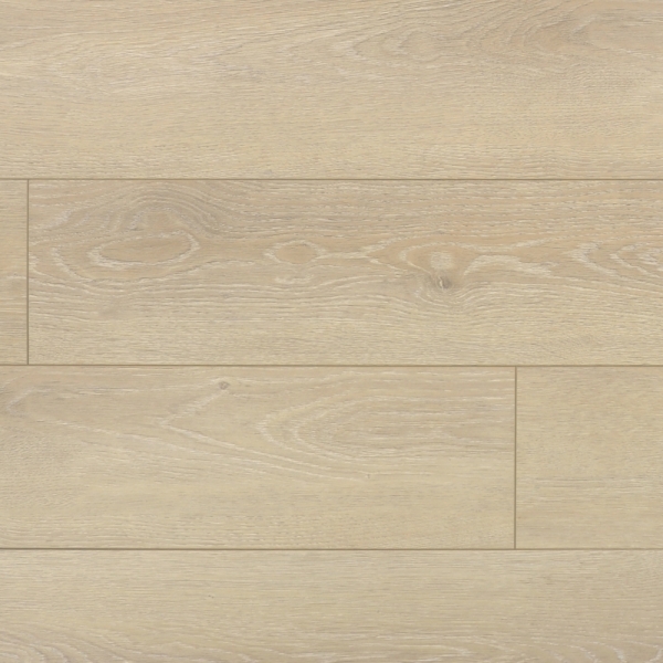 義大利系列  10m