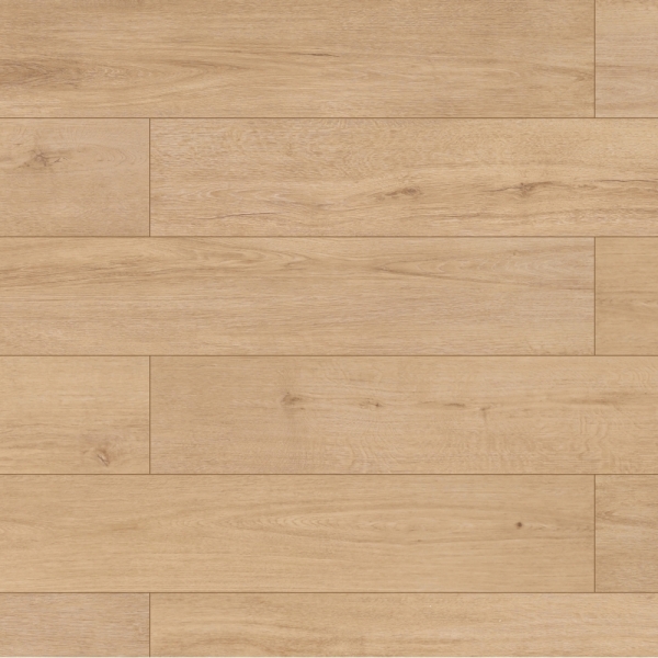 義大利系列  10m